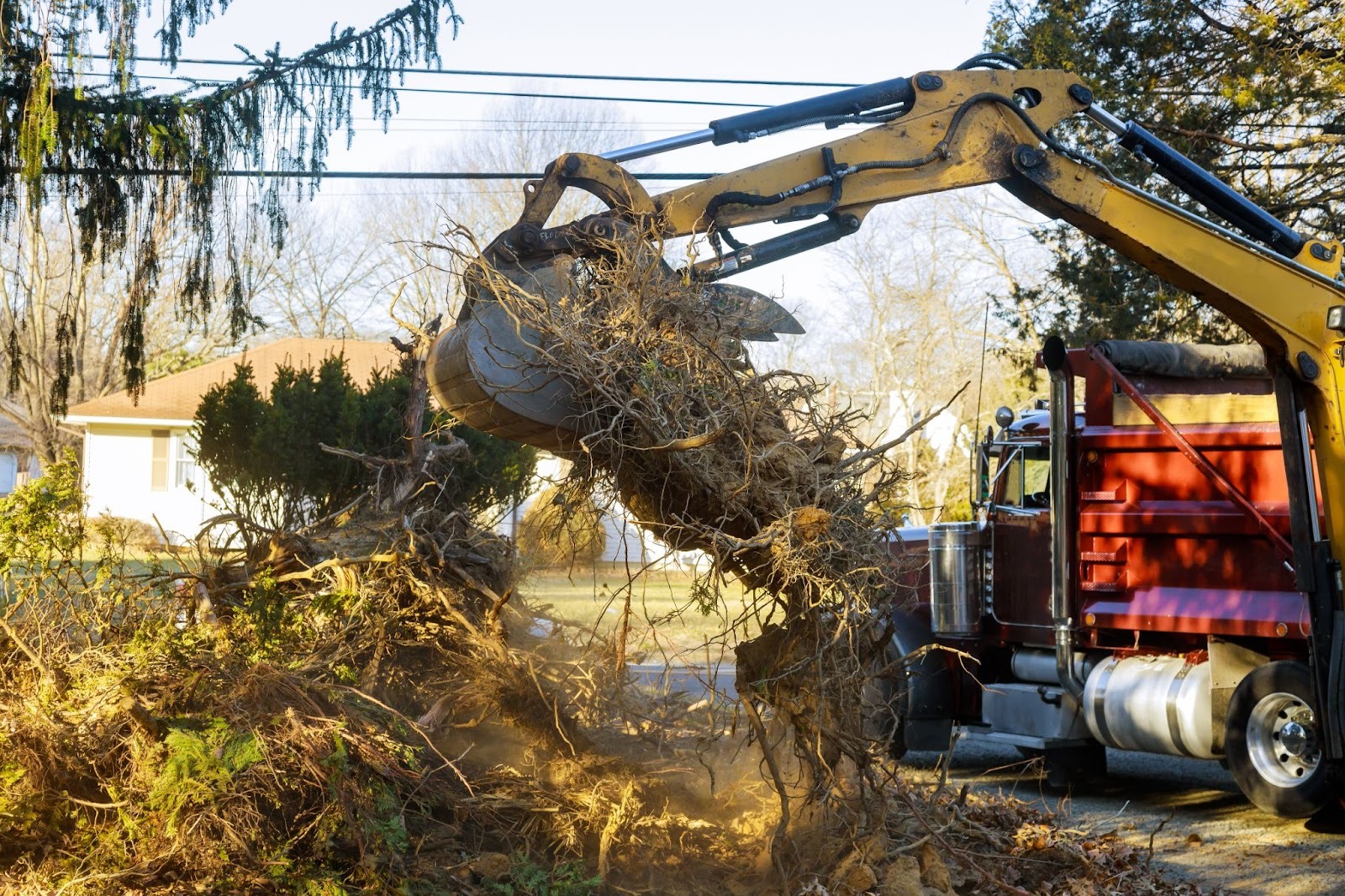 Fallen backyard tree trunks being lifted and loaded into a service truck