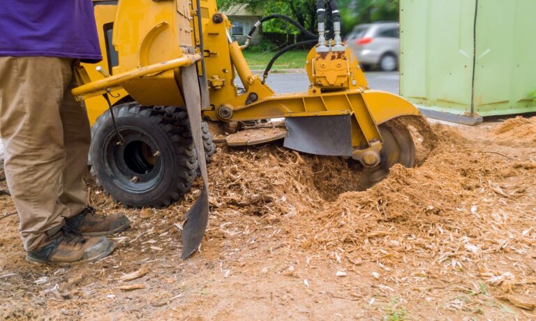 Stump grinder operating on a recently cut tree stump