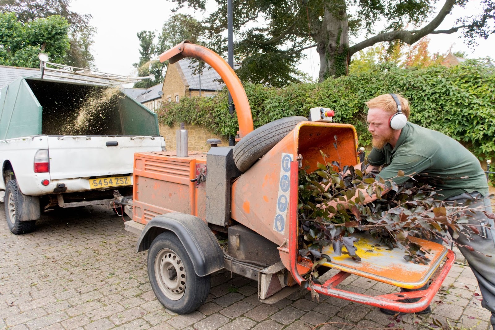 Arborist using a wood chipper to process copper beech tree limbs during debris removal