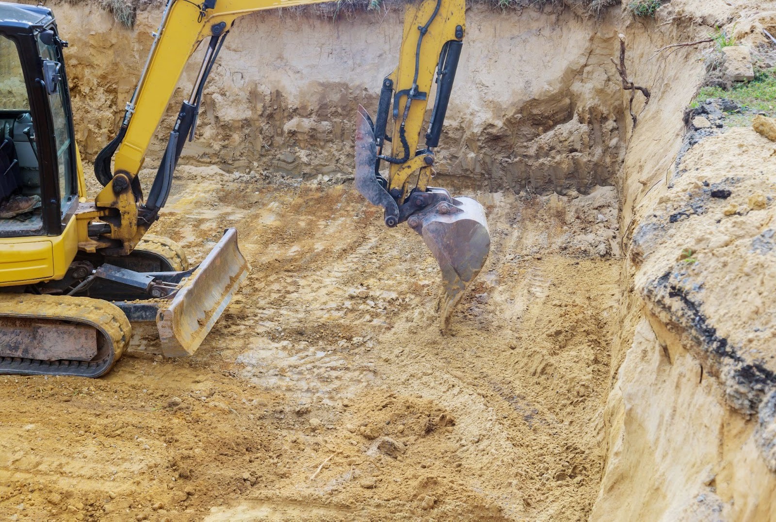 A large excavator clears tall trees to prepare the land.