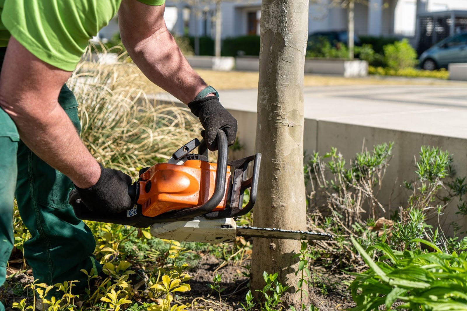 Detailed shot of a worker’s hands cutting a tree with a chainsaw