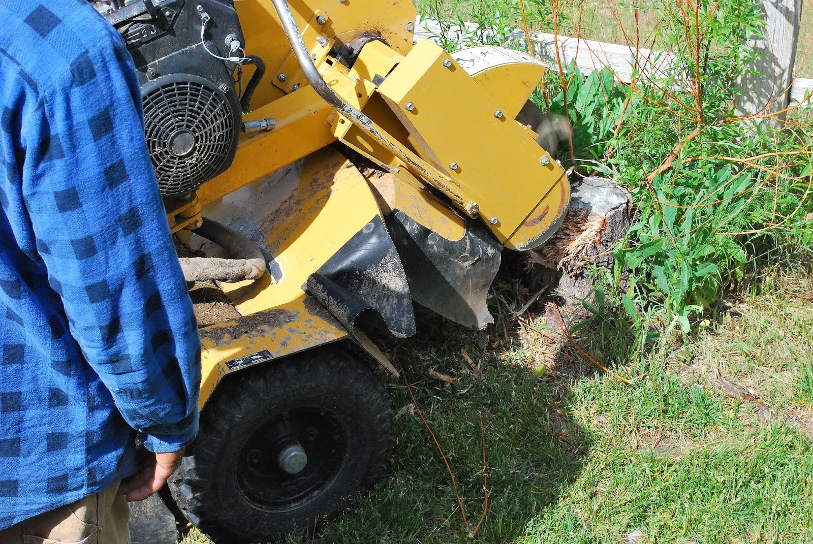Stump grinding equipment removing an old tree stump in a garden as a trained worker monitors the process.