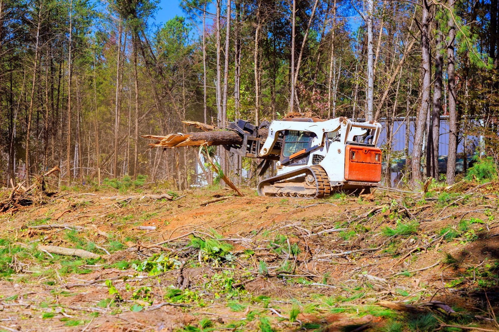 Land clearing process showing trees removed for construction preparation