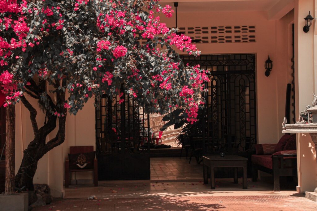 Pink blossom tree enhancing curb appeal in front of a beige house