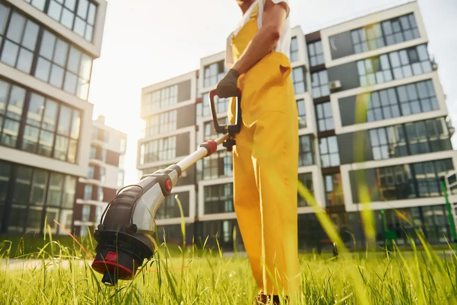 Property Maintenance — EML Tree Services in Connecticut