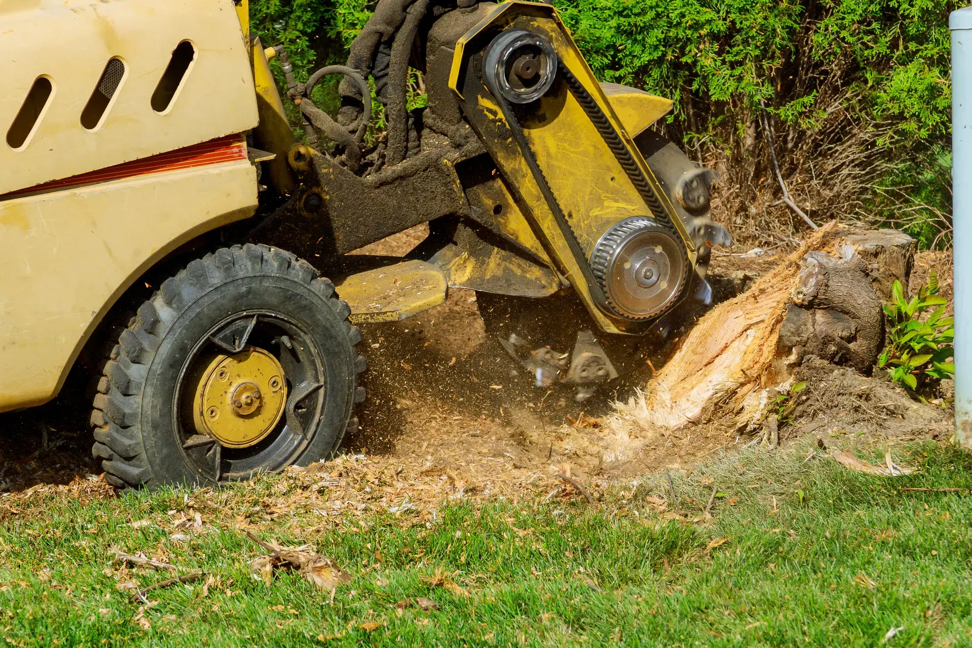 Stump Grinding — EML Tree Services in Connecticut