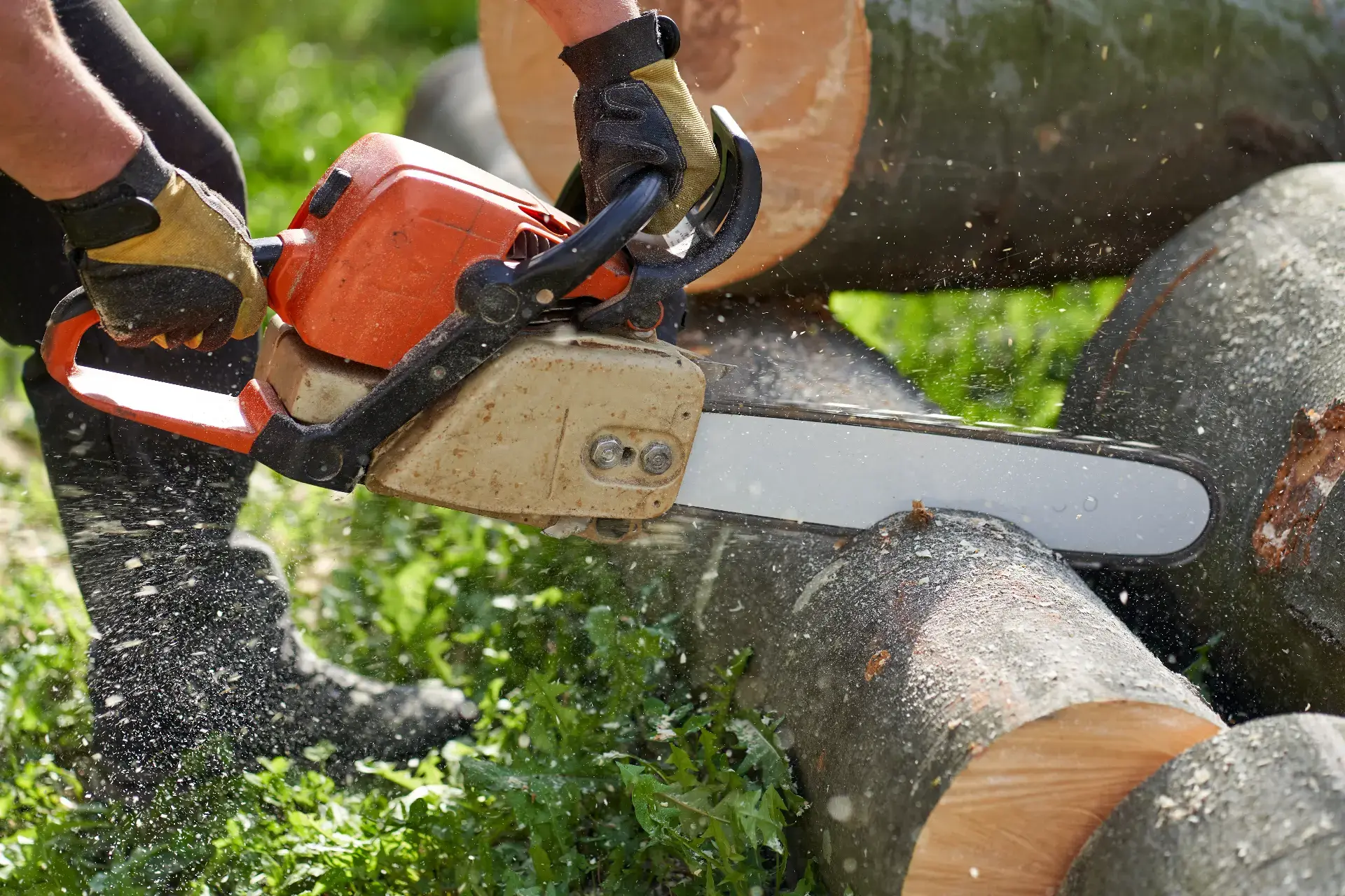 Tree Removal — EML Tree Services in Connecticut