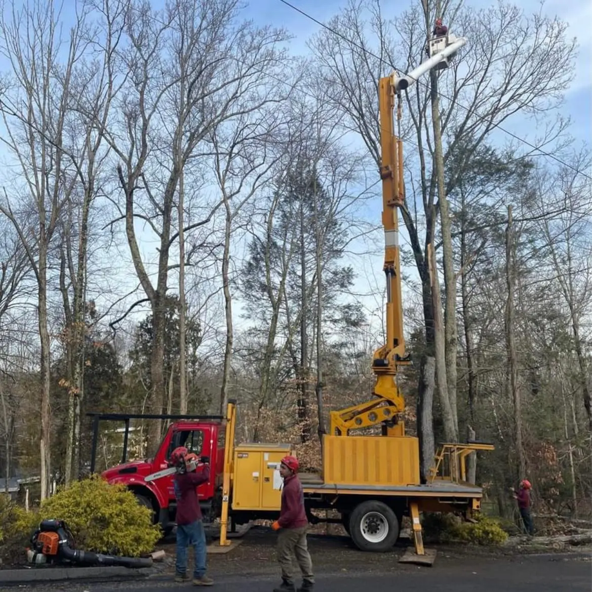 Bucket Truck