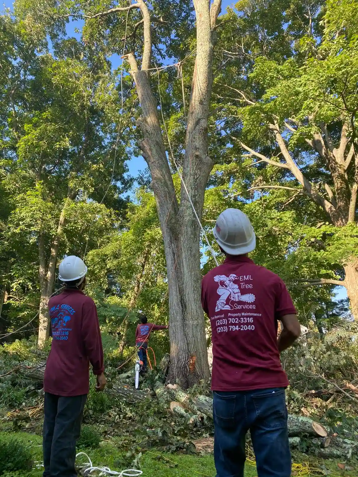 Land Clearing
