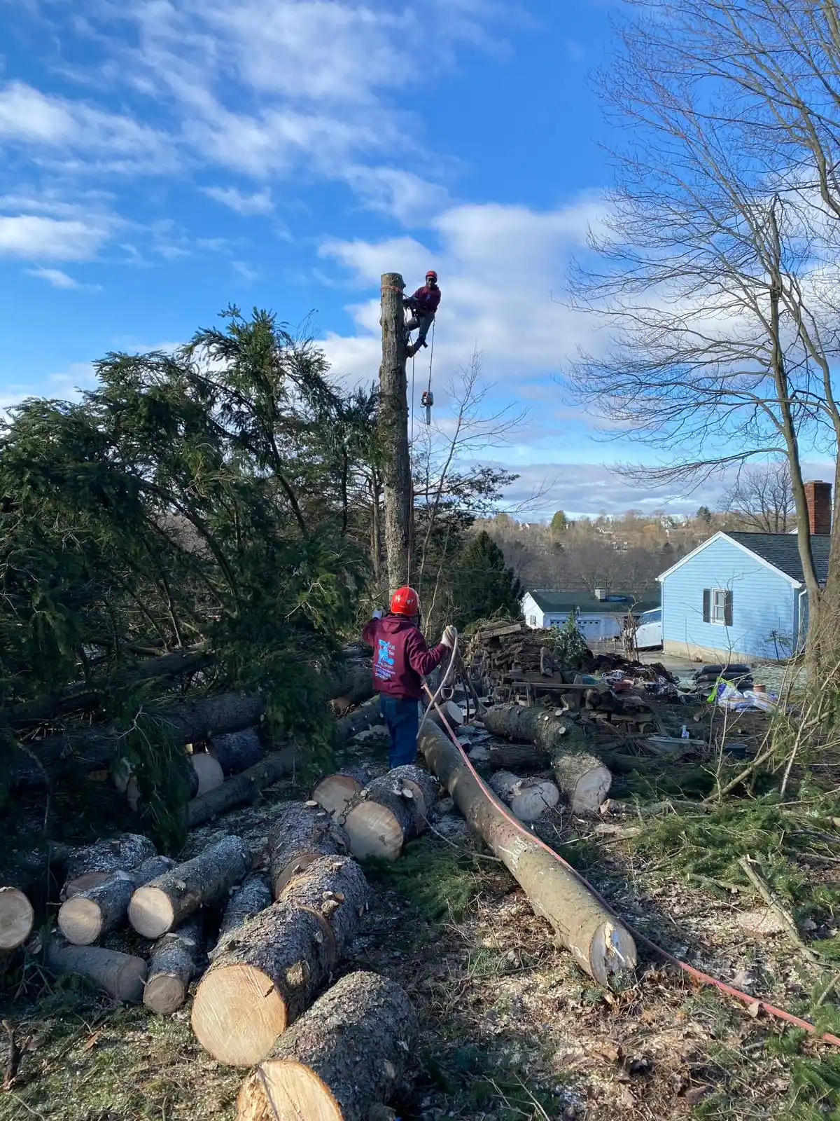 Land Clearing