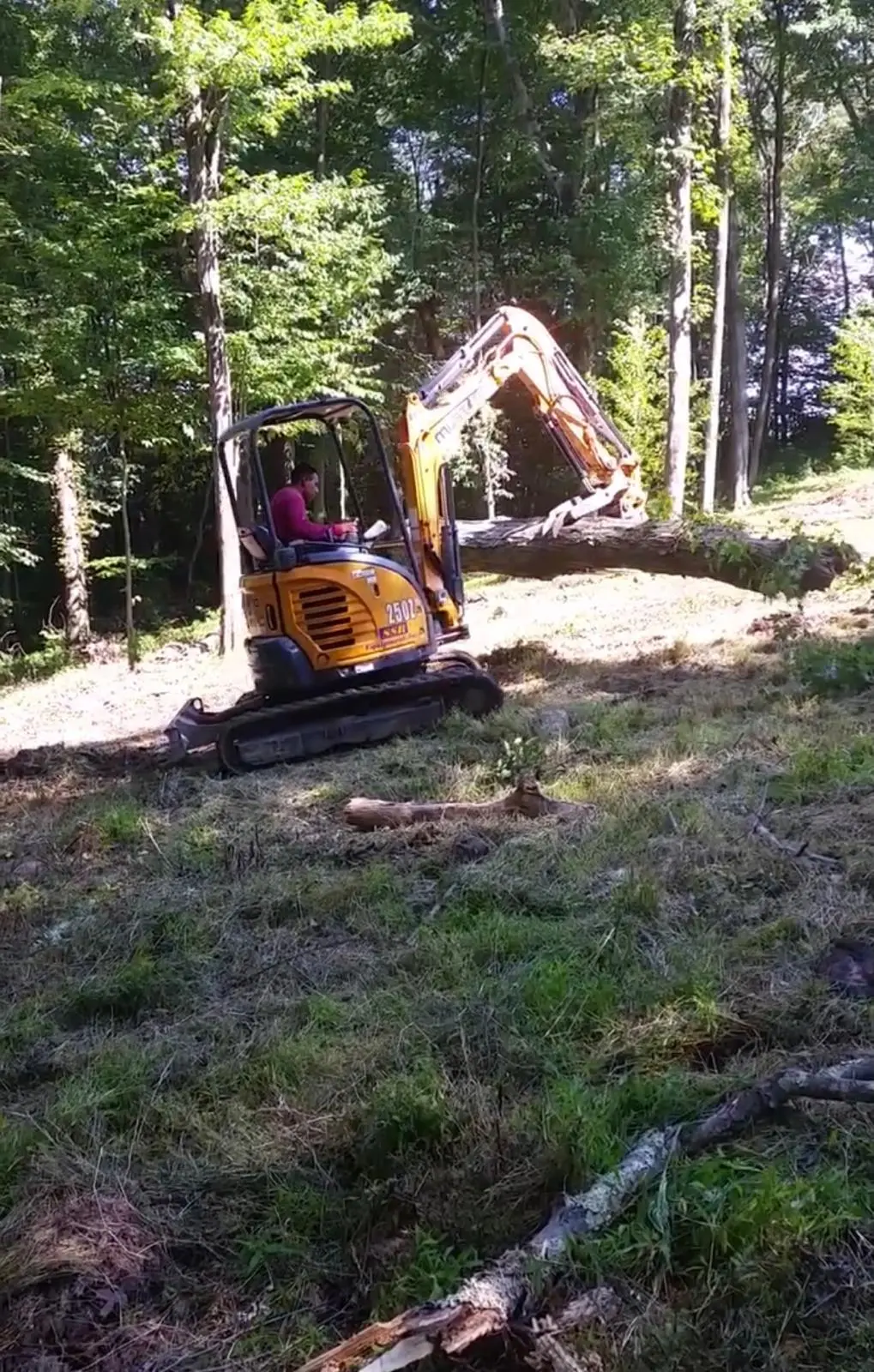 Land Clearing