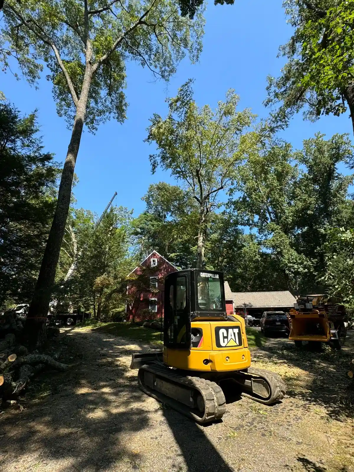 Land Clearing