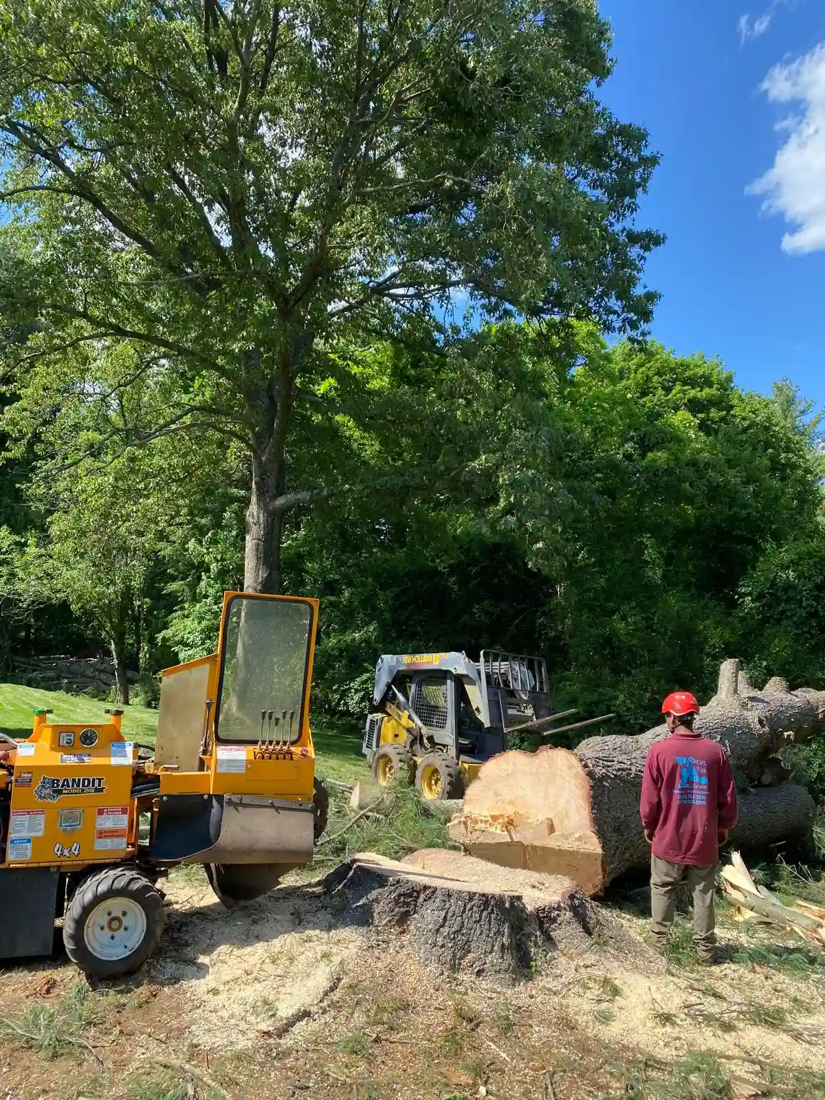 Land Clearing