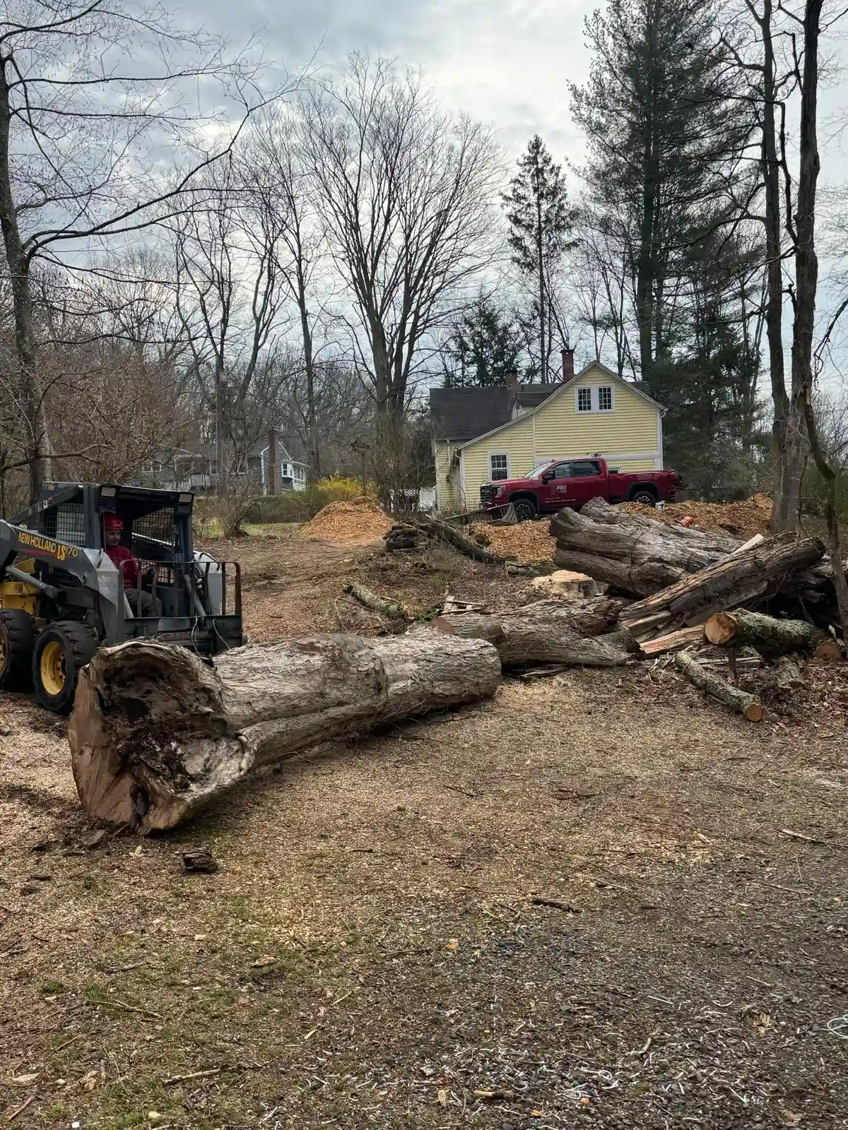 Land Clearing