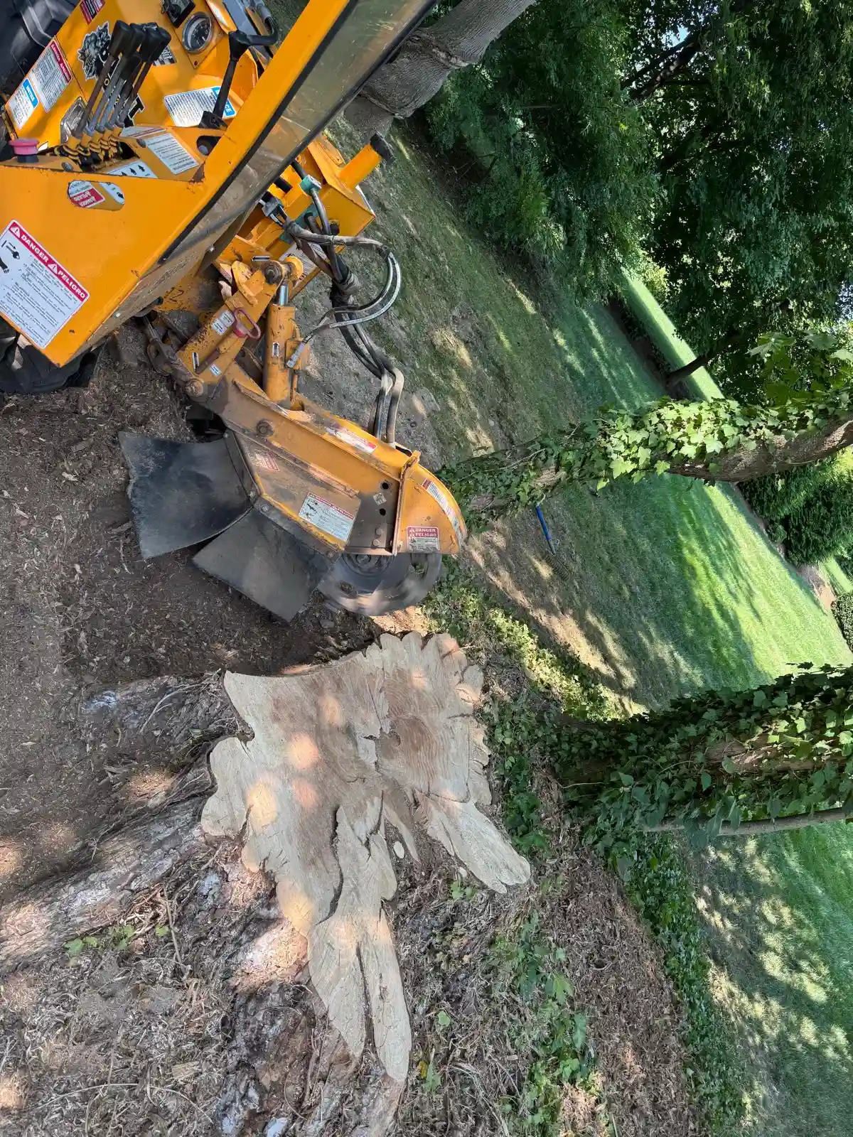 Land Clearing