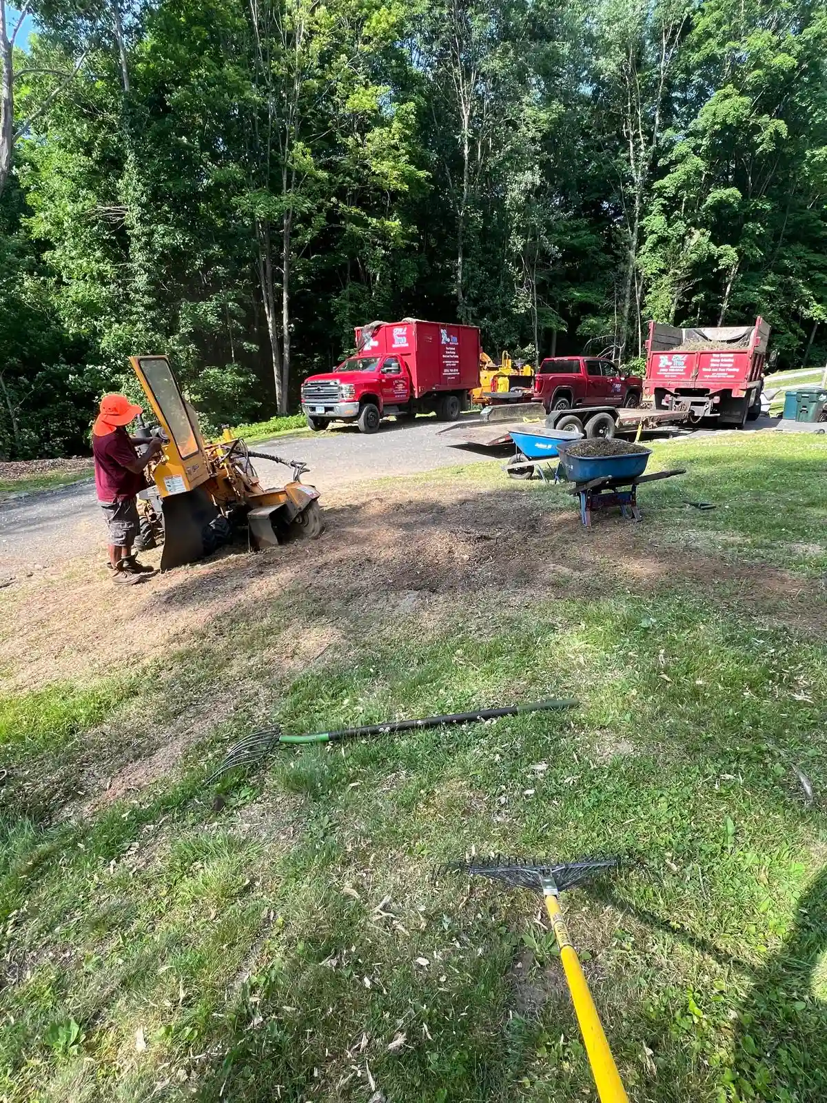 Stump Grinding