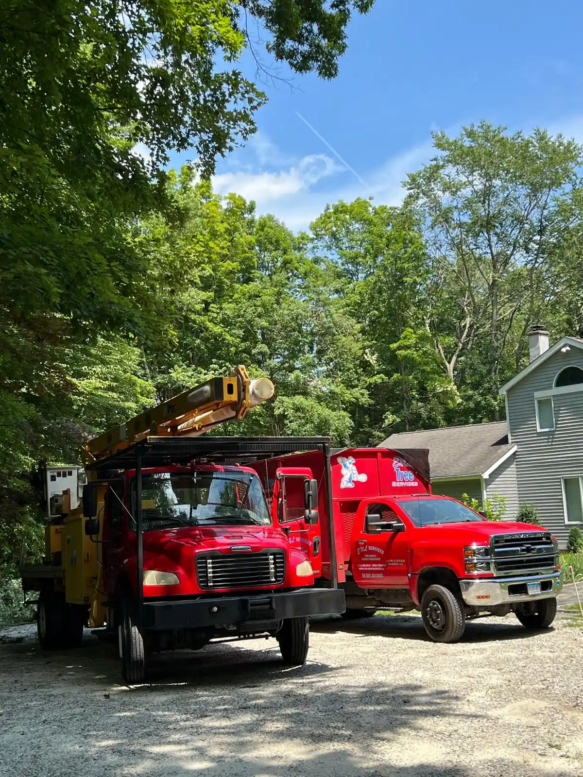 Stump Grinding