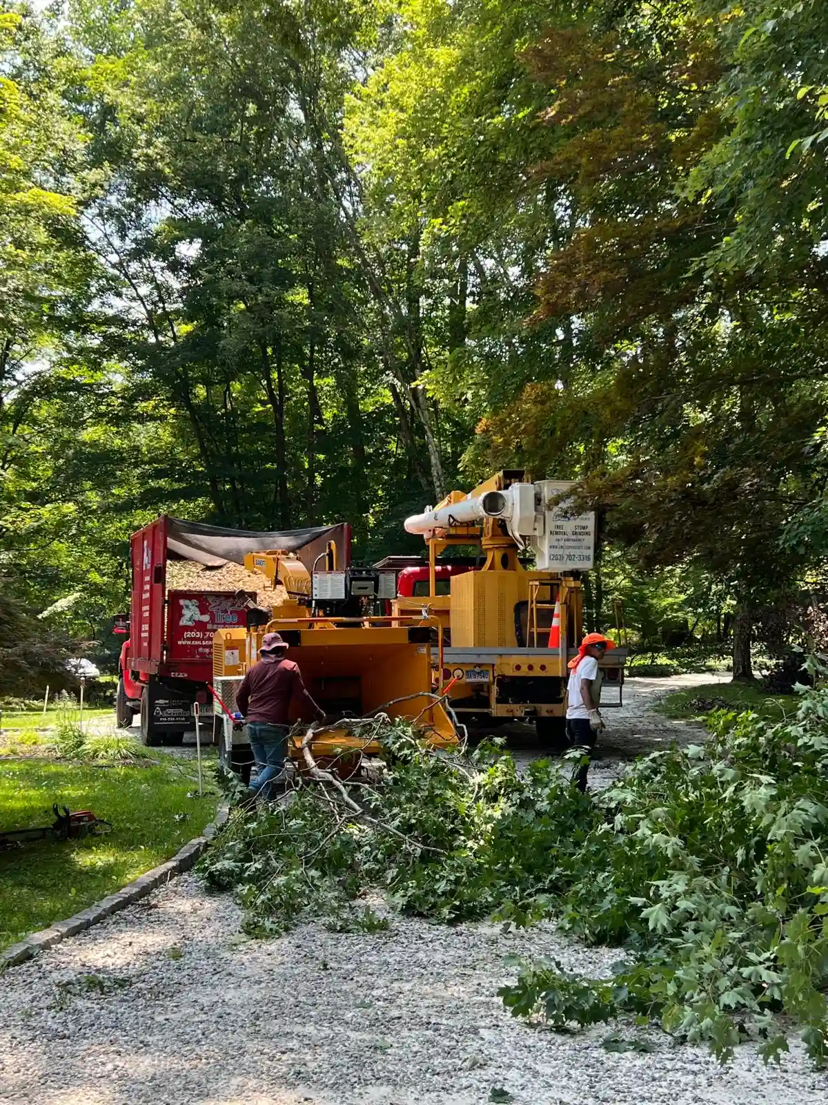 Stump Grinding