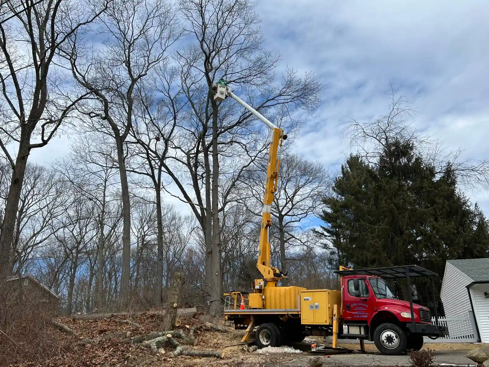 Stump Grinding