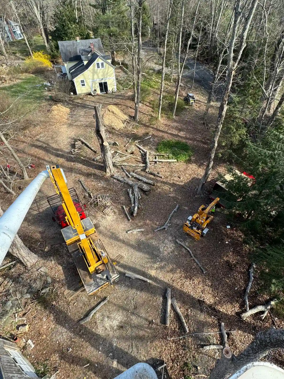 Stump Grinding