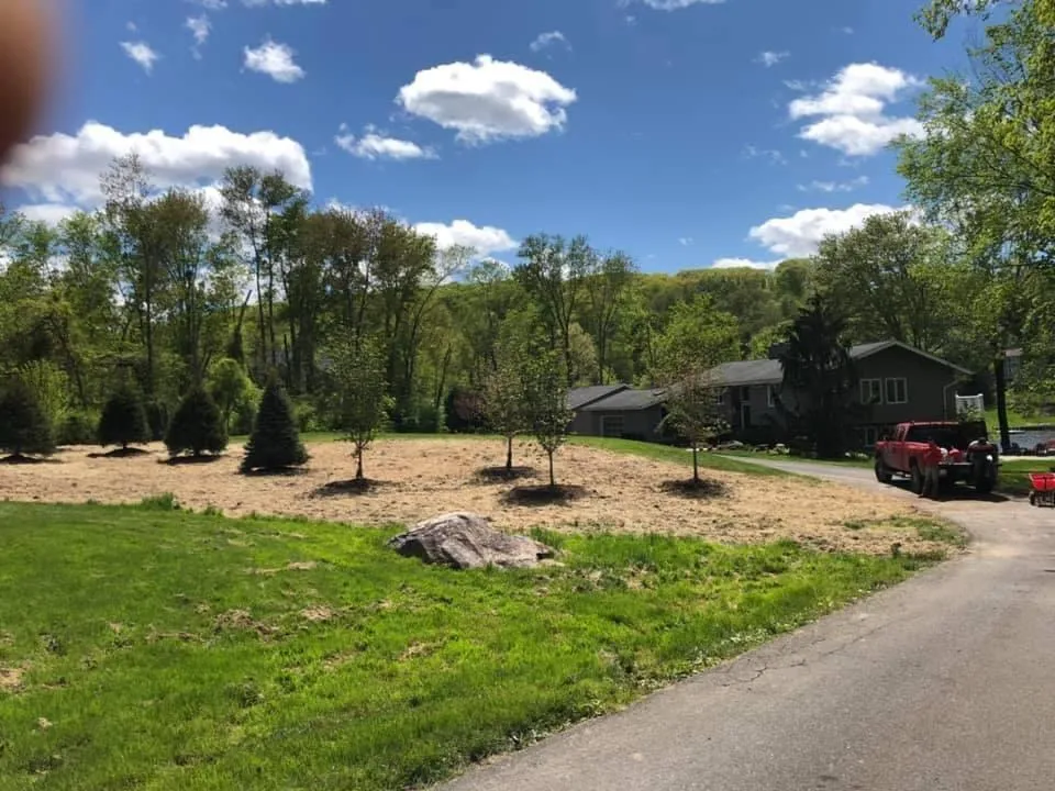 Tree Removal
