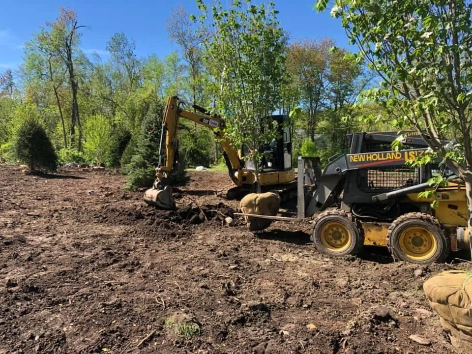 Tree Removal