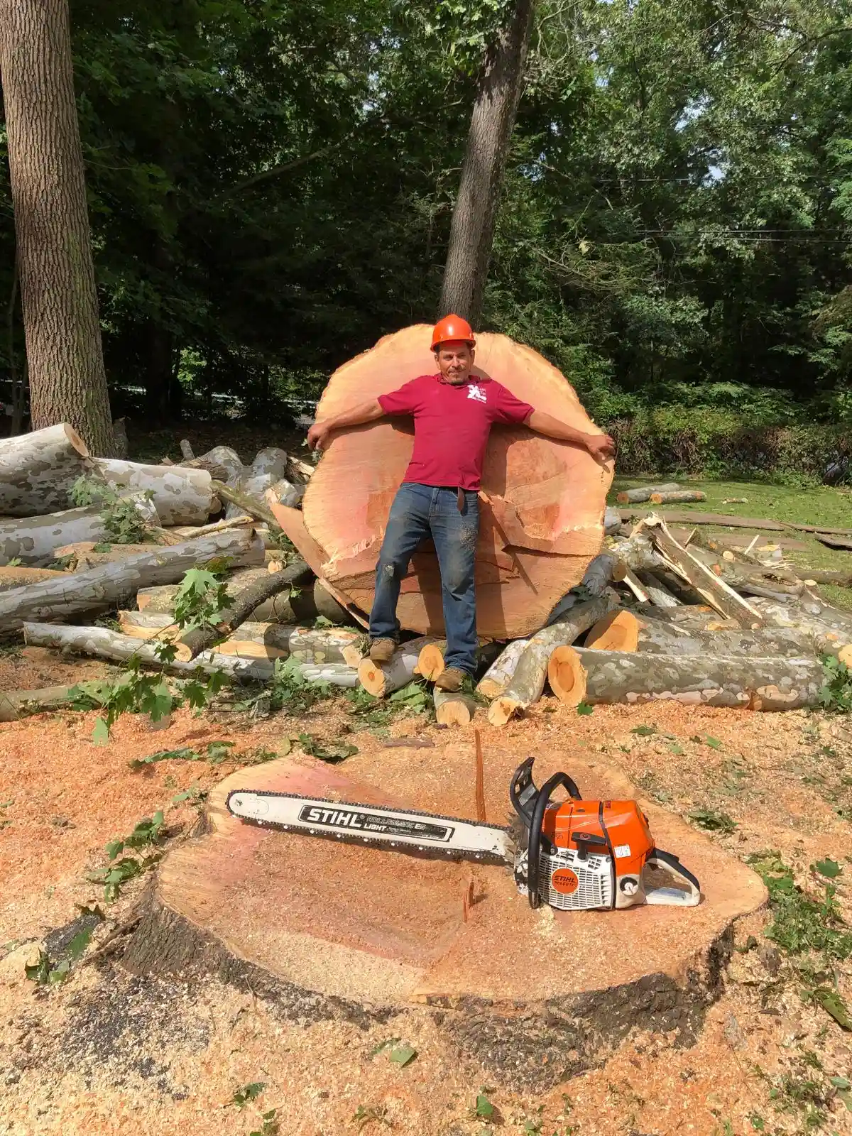 Tree Removal