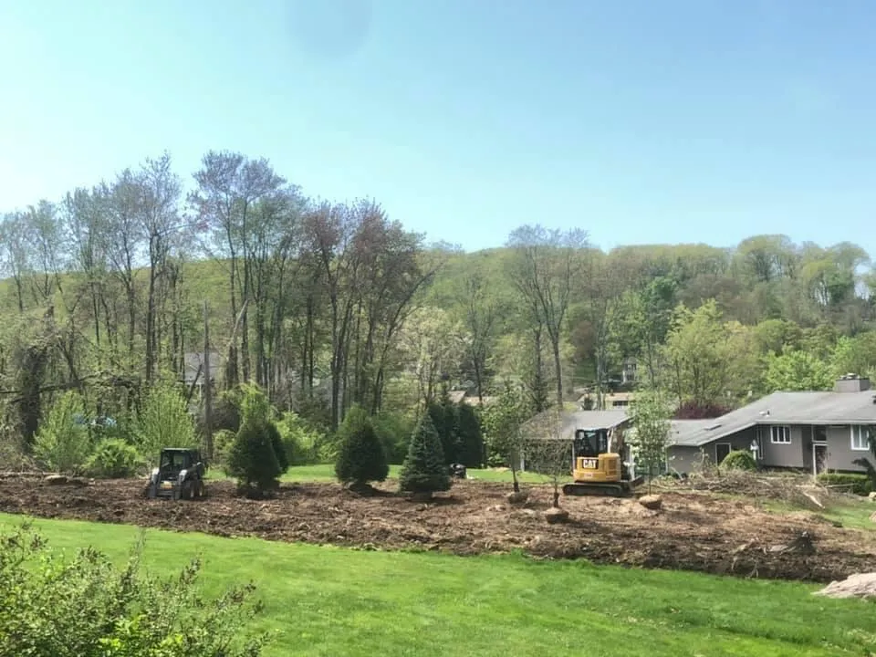 Tree Removal