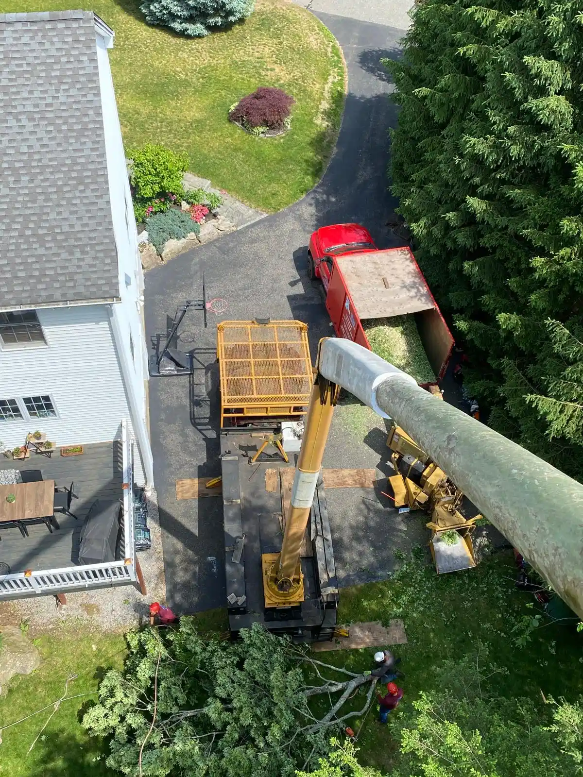 Tree Removal