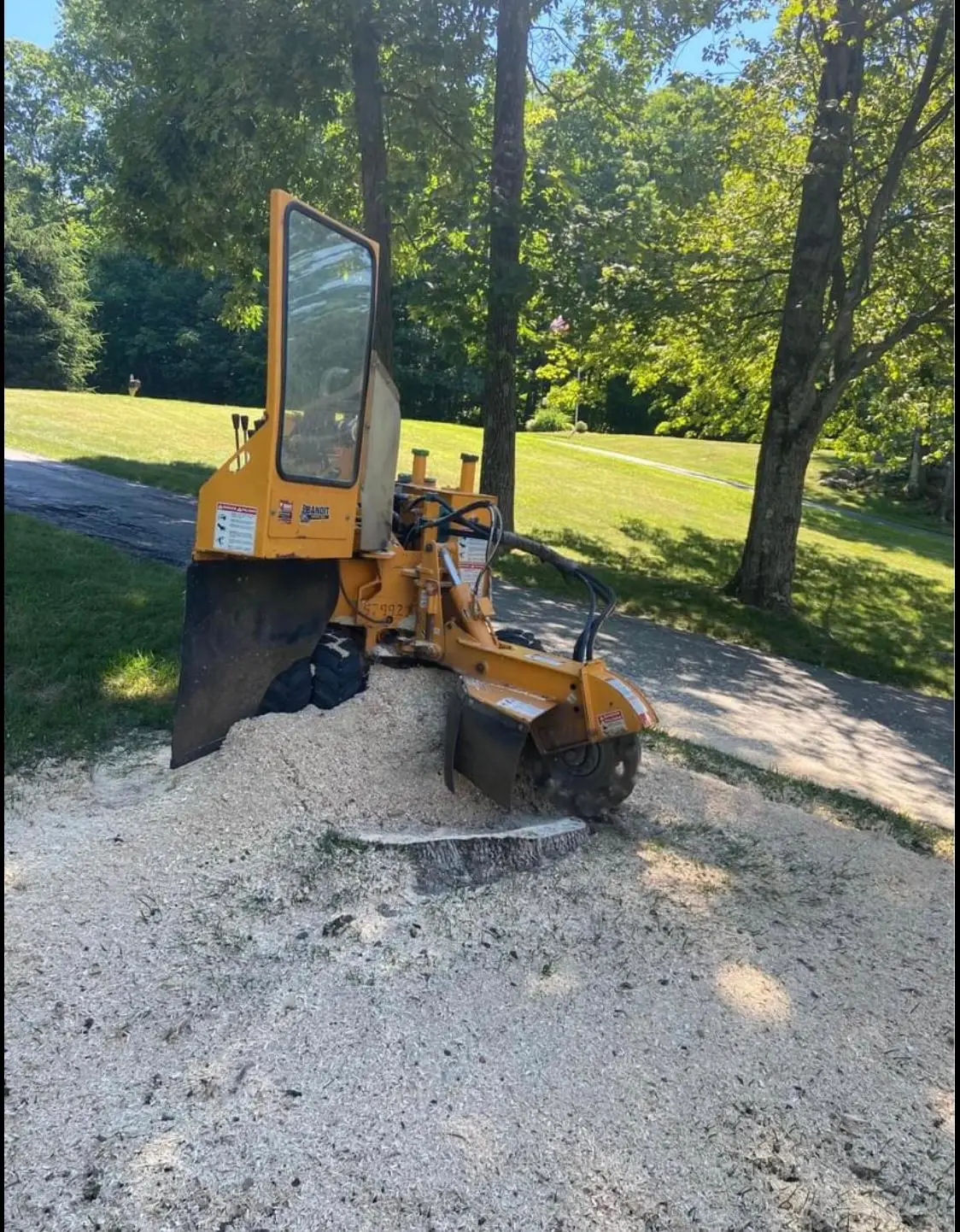 Tree Removal