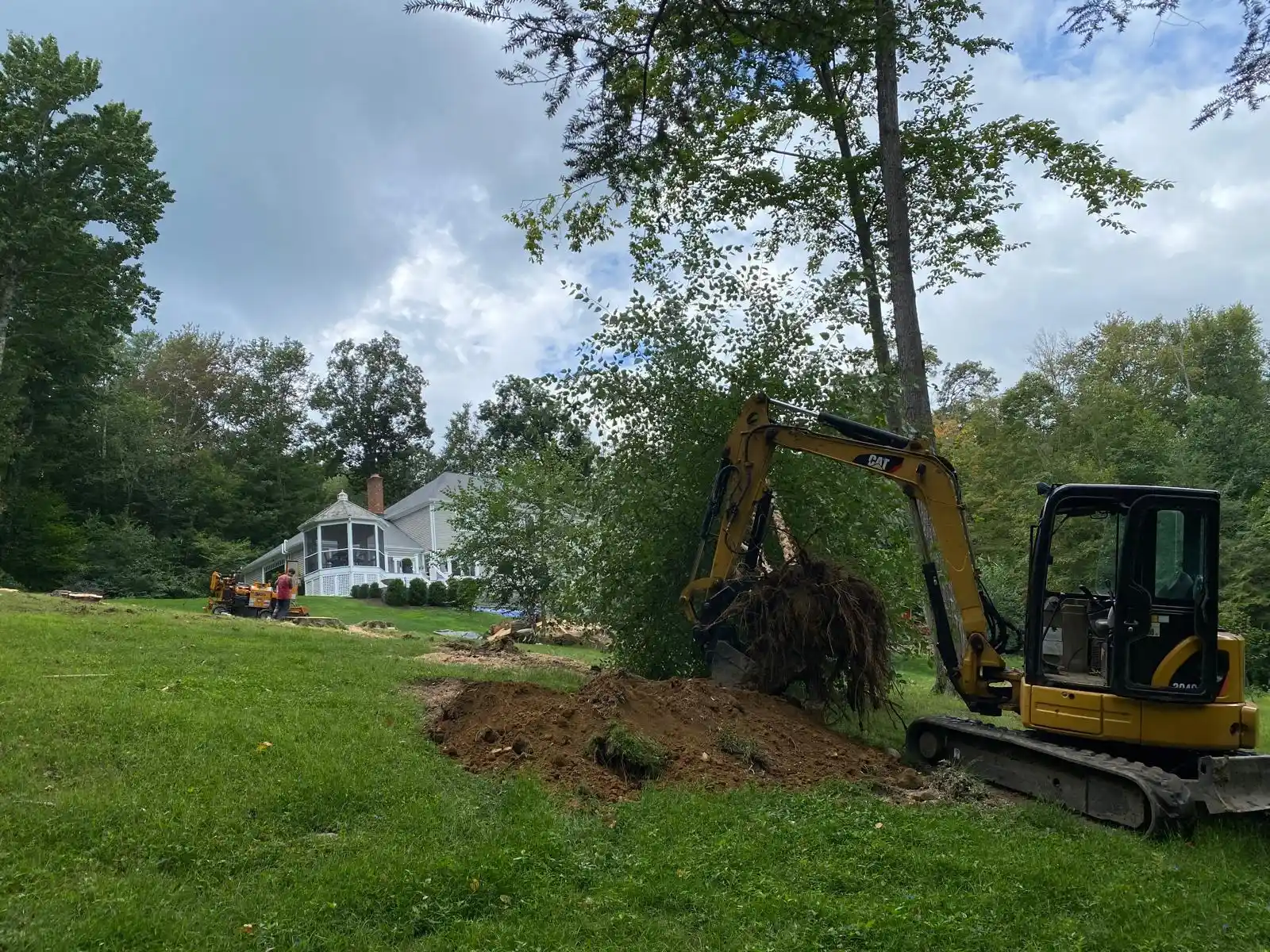 Tree Removal