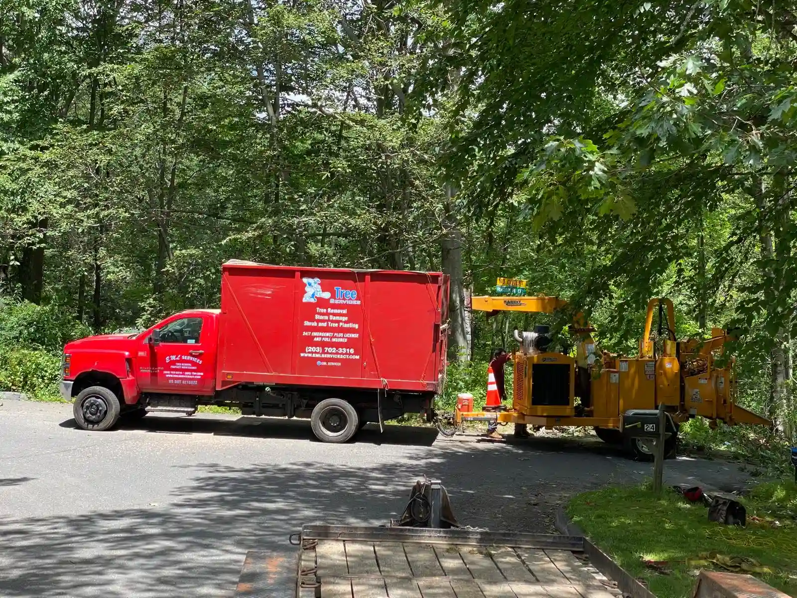 Tree Removal