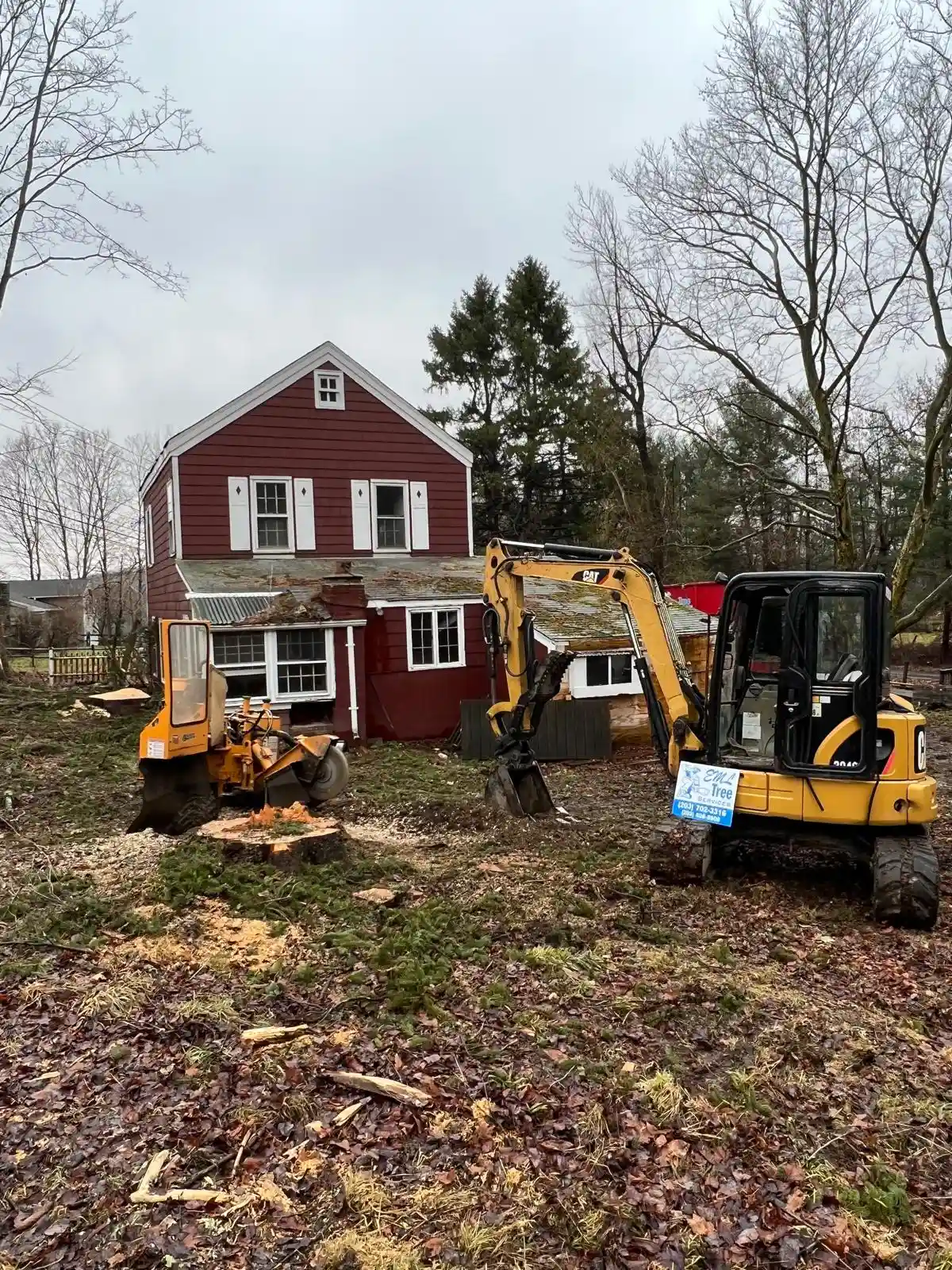 Tree Removal