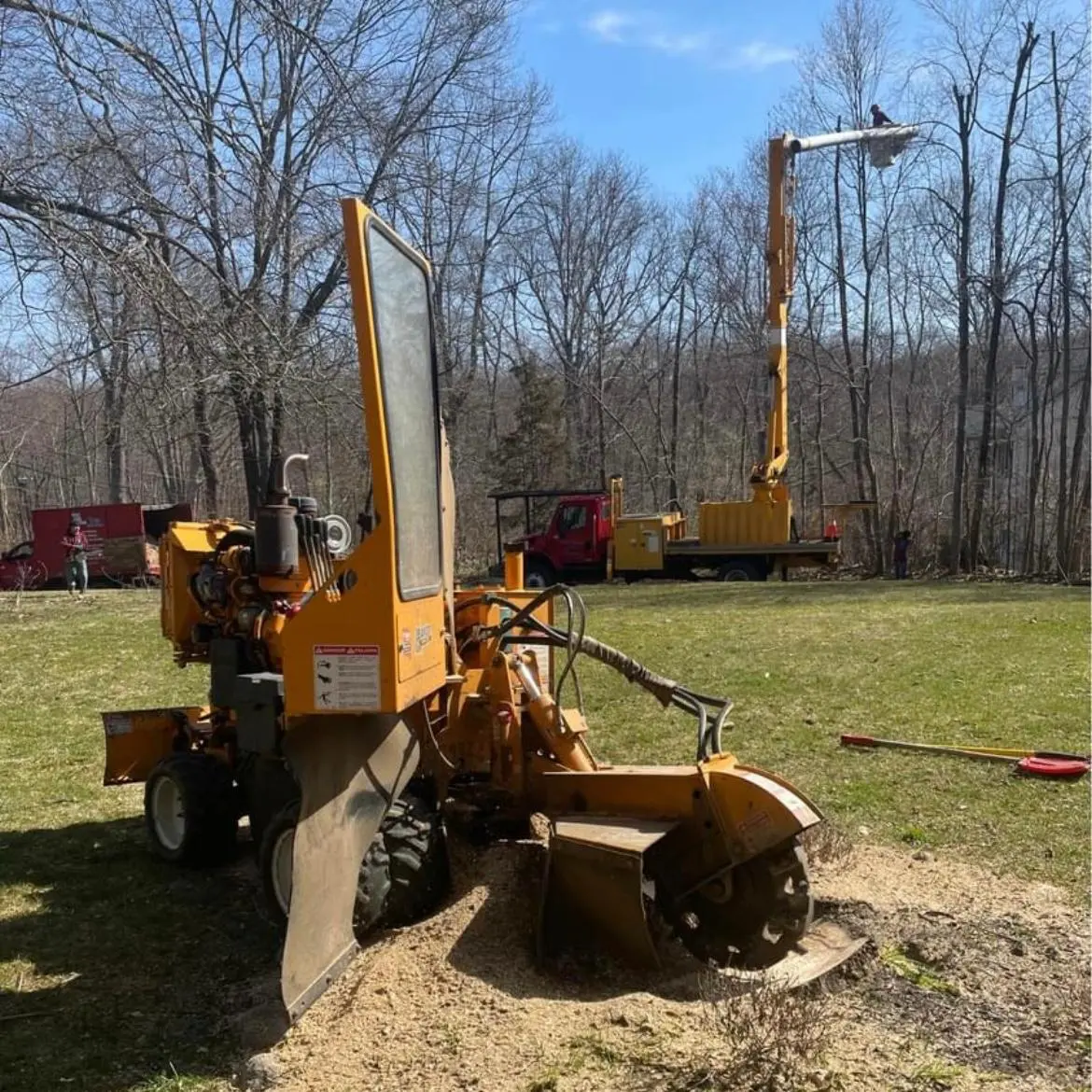Tree Services