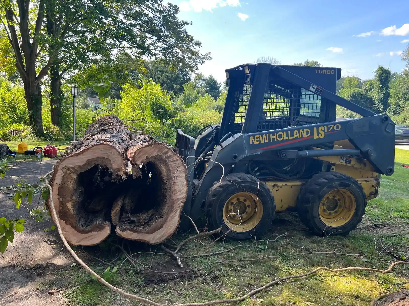 Tree Services