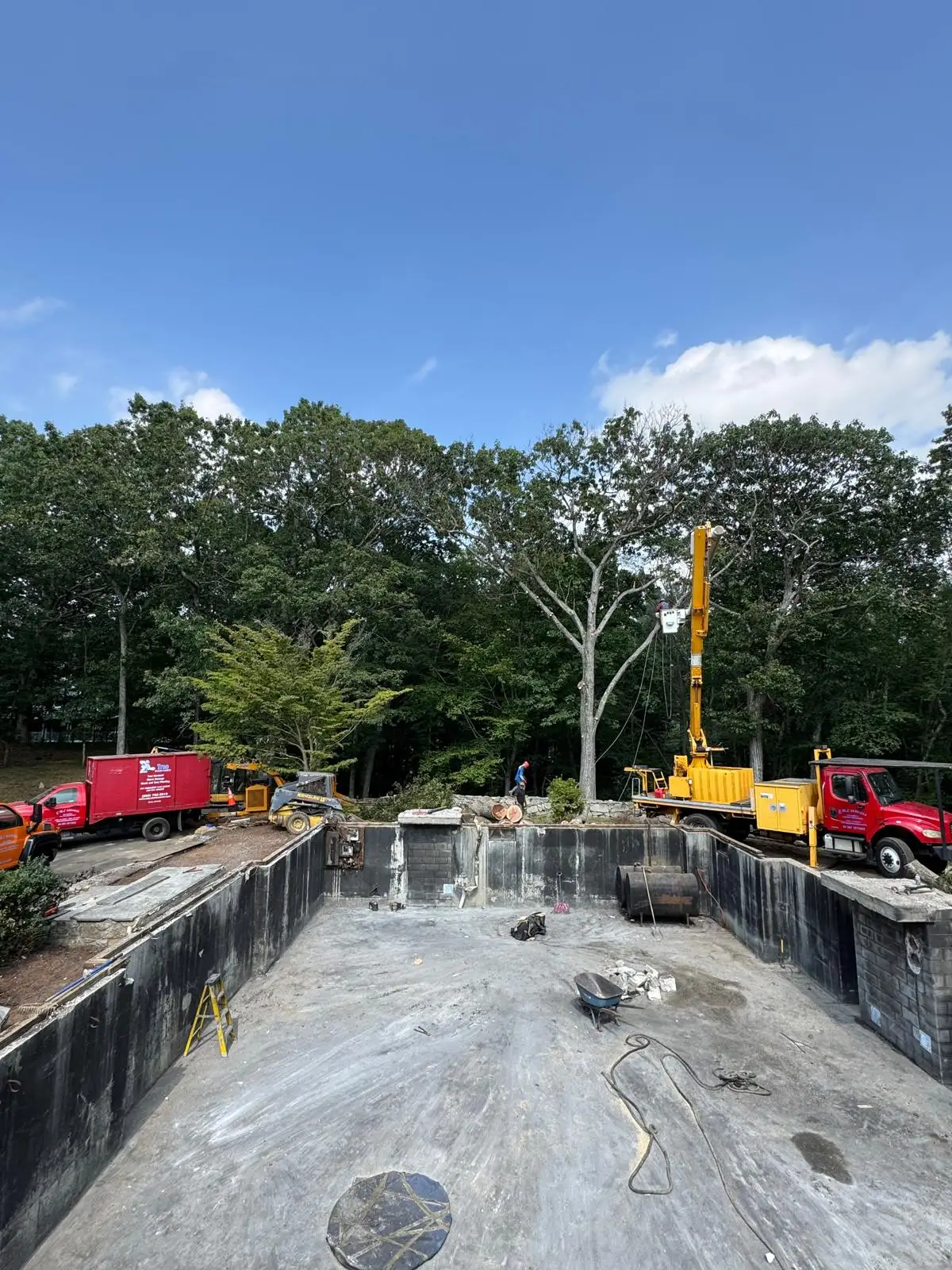 Tree Services