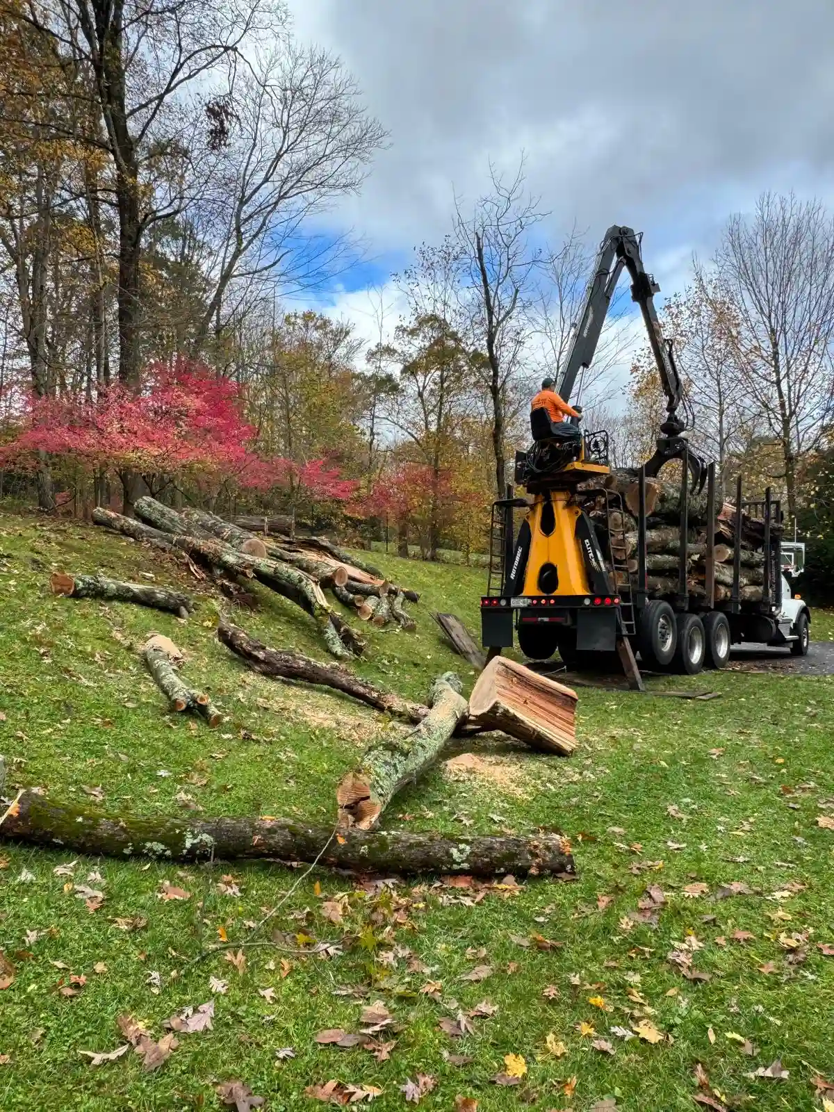 Wood Chipper
